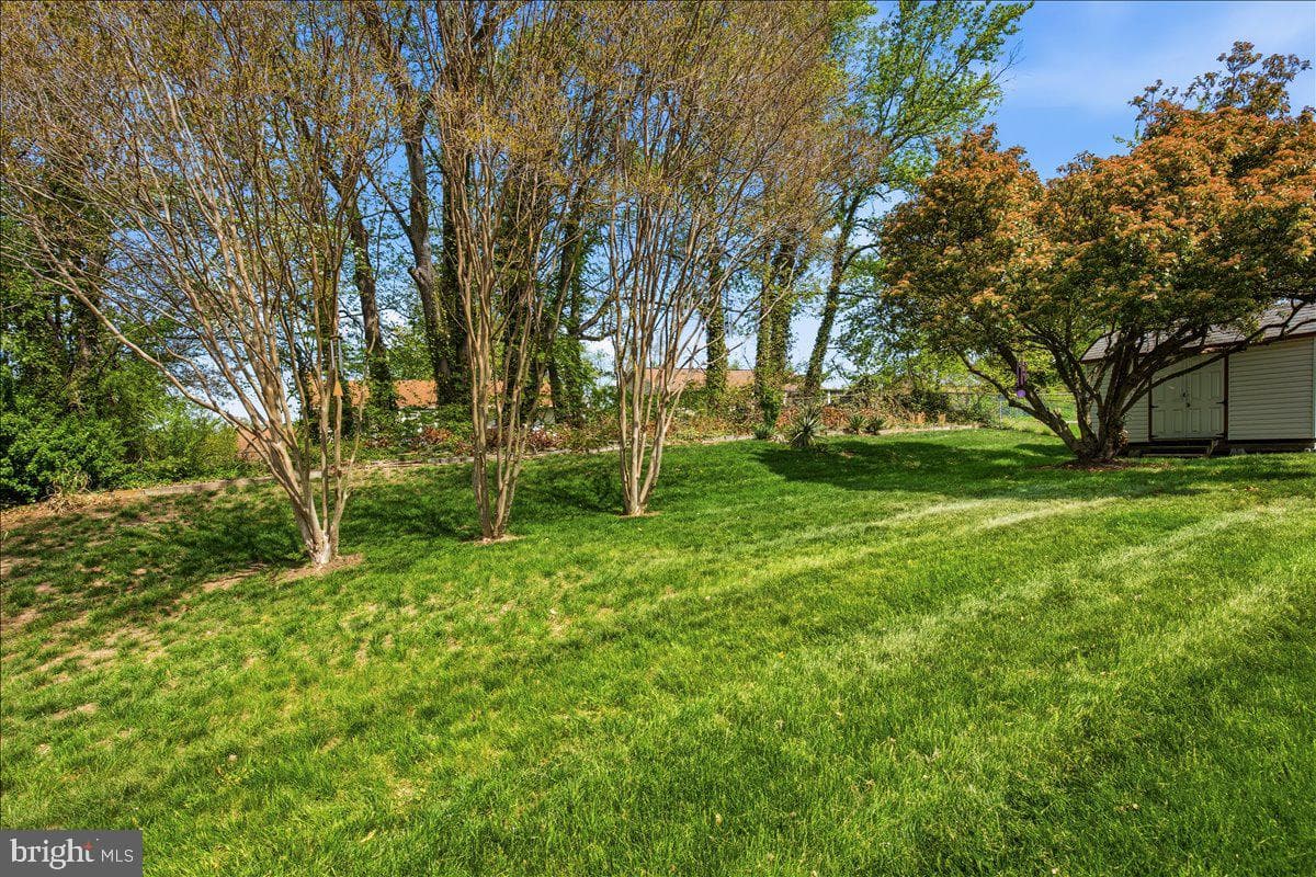 10708 Tyrone Drive photo 35