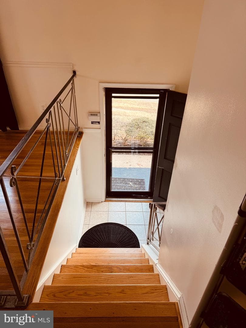 211 Prenton Street photo 22