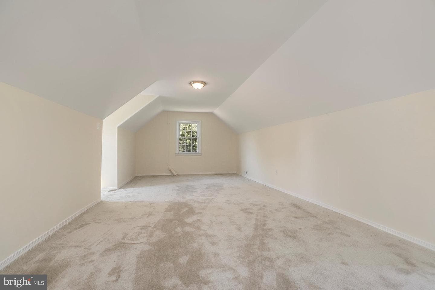 3203 Belleview Avenue photo 21