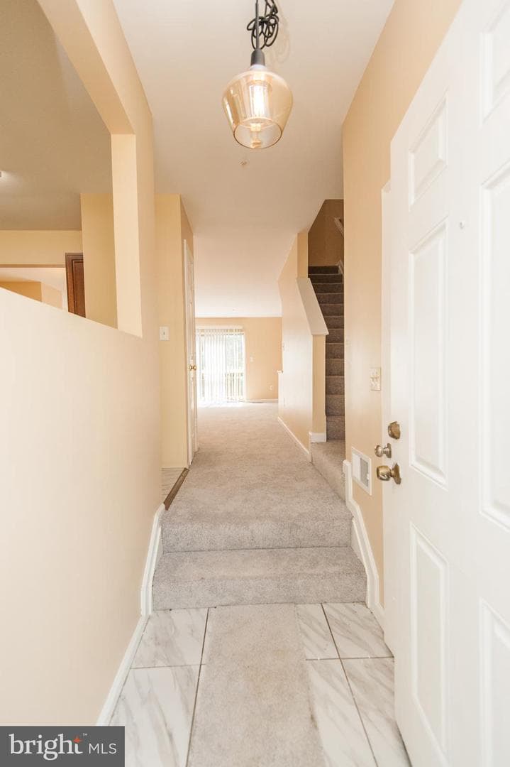 10749 Kitchener Court photo 23