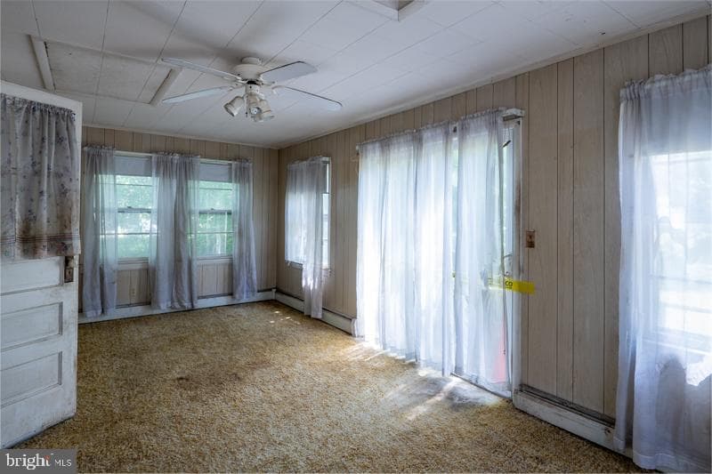 12111 Daisy Lane photo 16