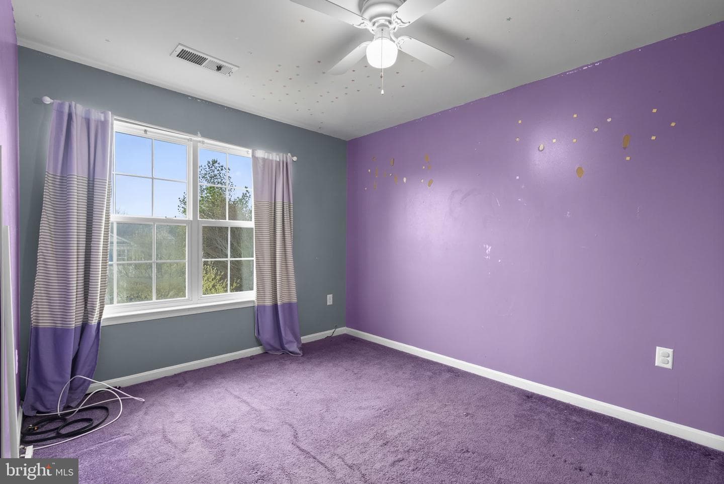 7114 Beissel Court photo 27