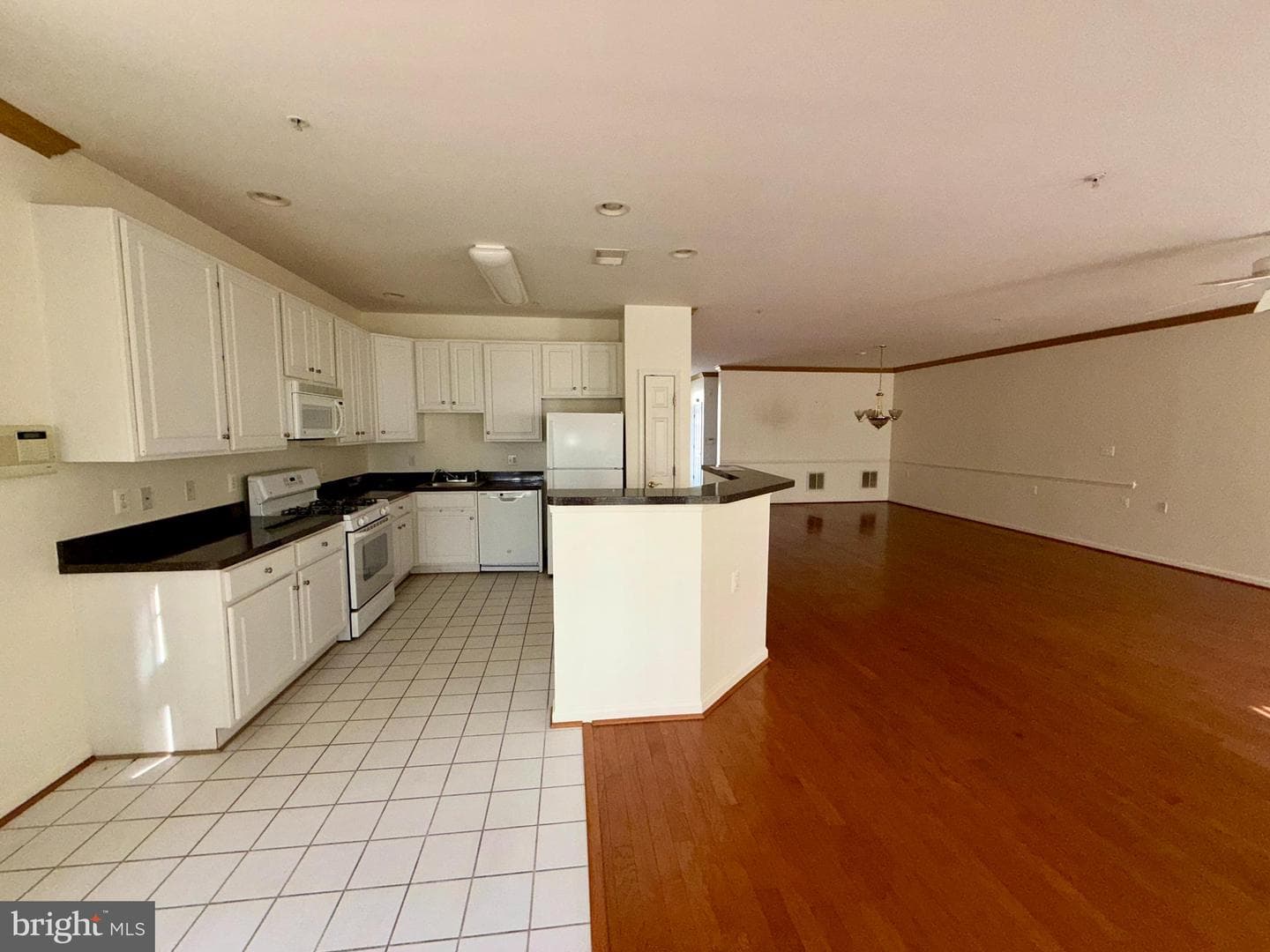 308 Dunnville Place photo 23