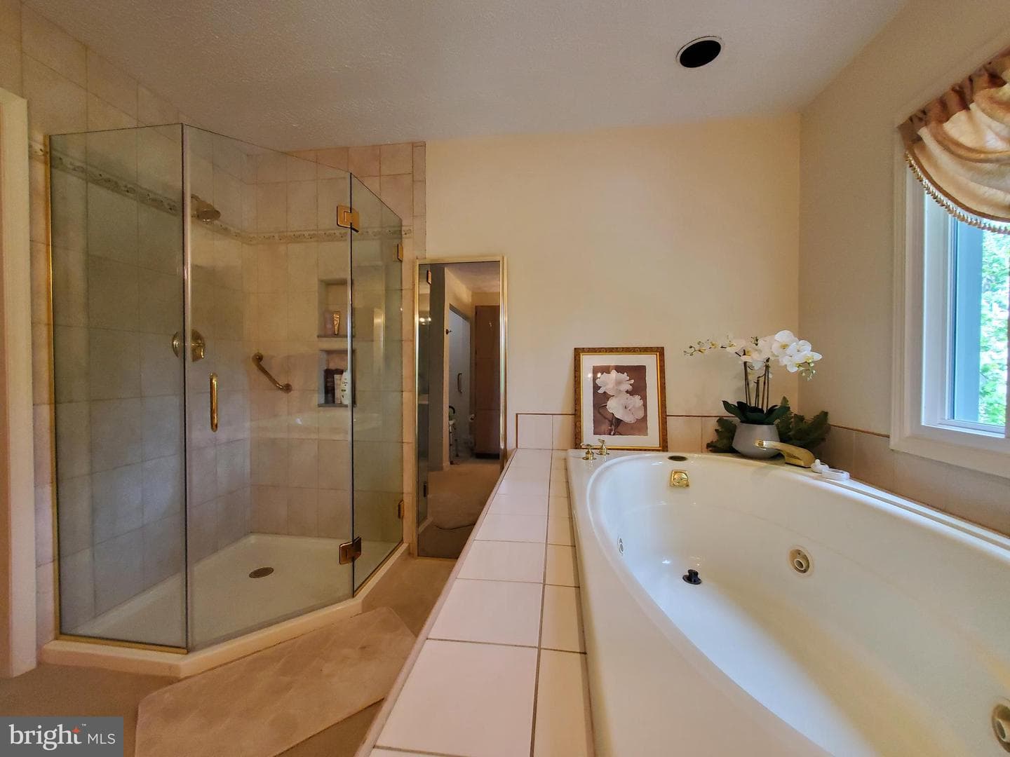 116 Prospect Drive photo 11