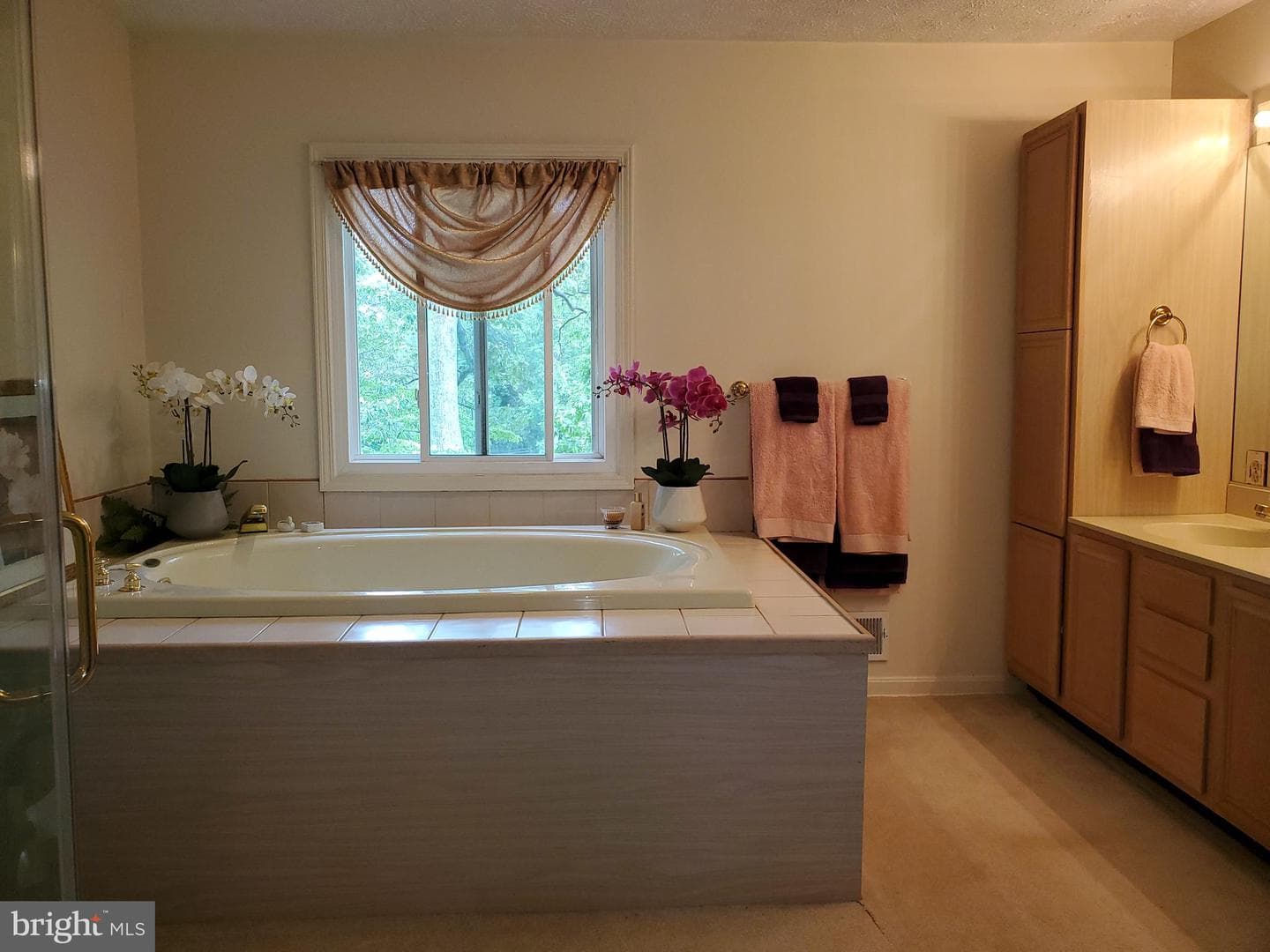 116 Prospect Drive photo 12