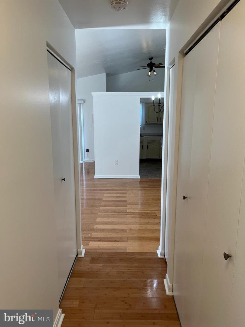 10172 Scotch Hill Drive photo 17