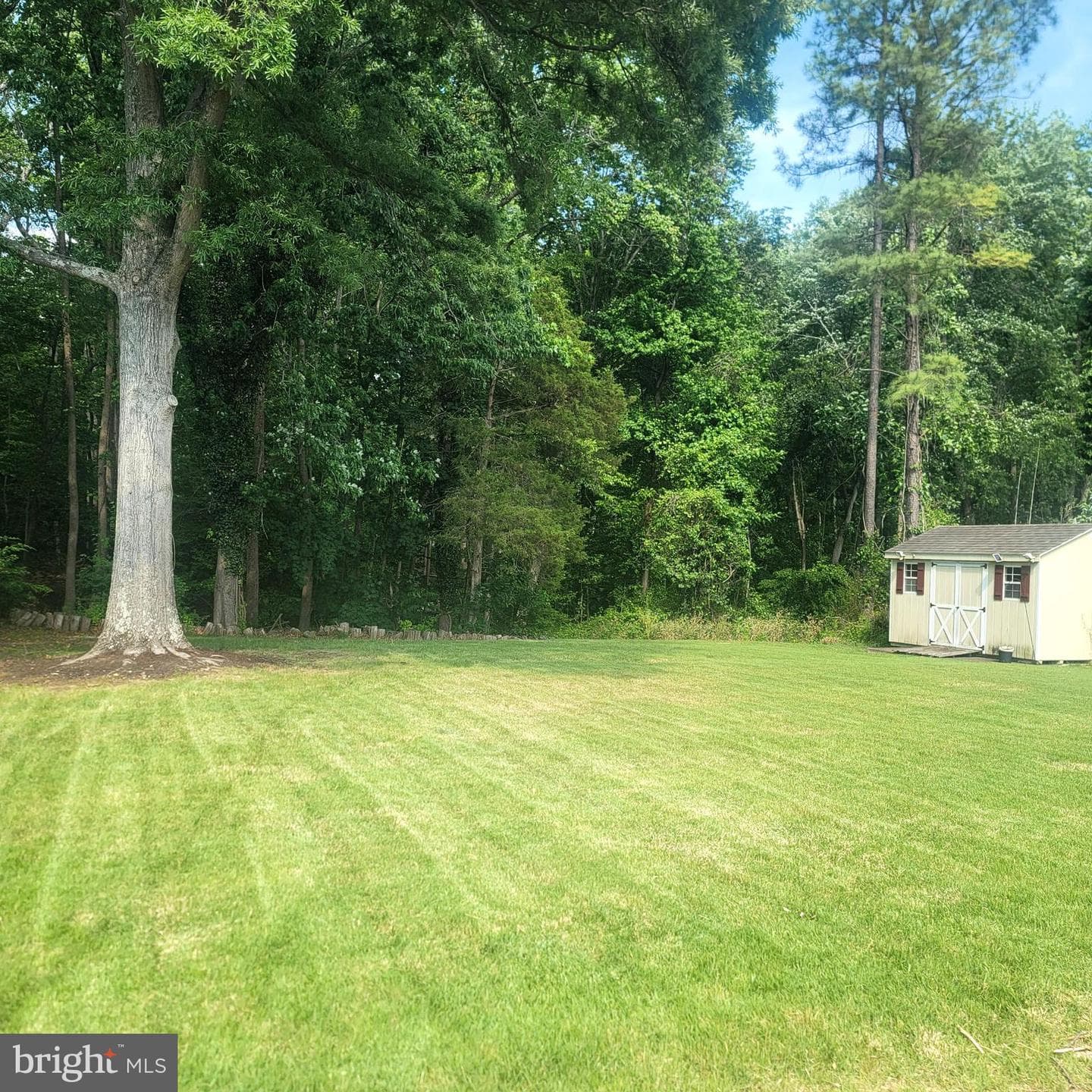 7008 Berkshire Drive photo 40