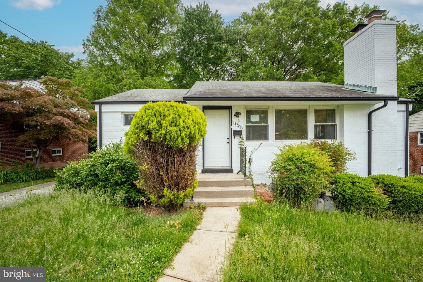 6709 Forest Hill Drive photo 49