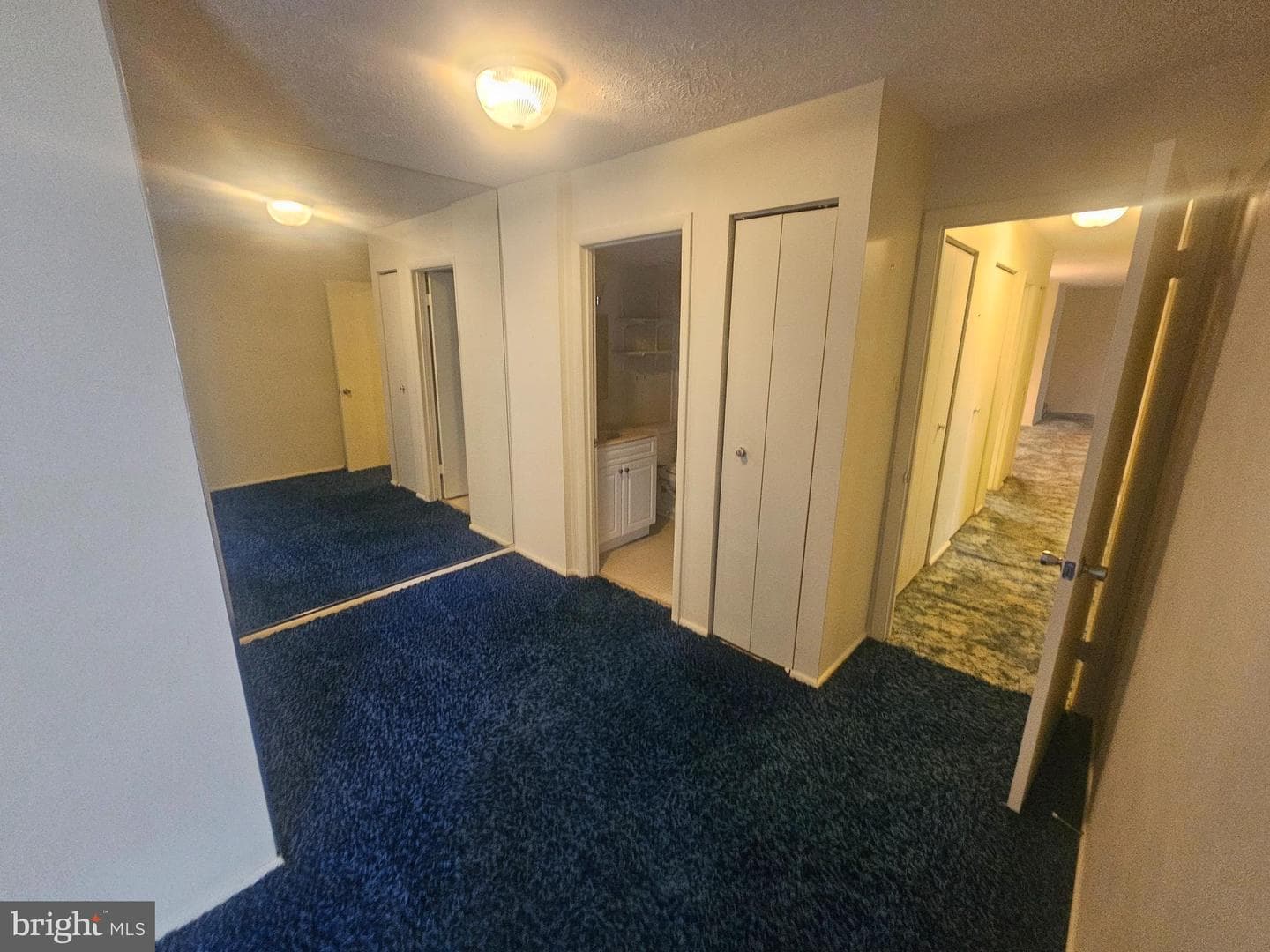 7724 Hanover Parkway #186 photo 3