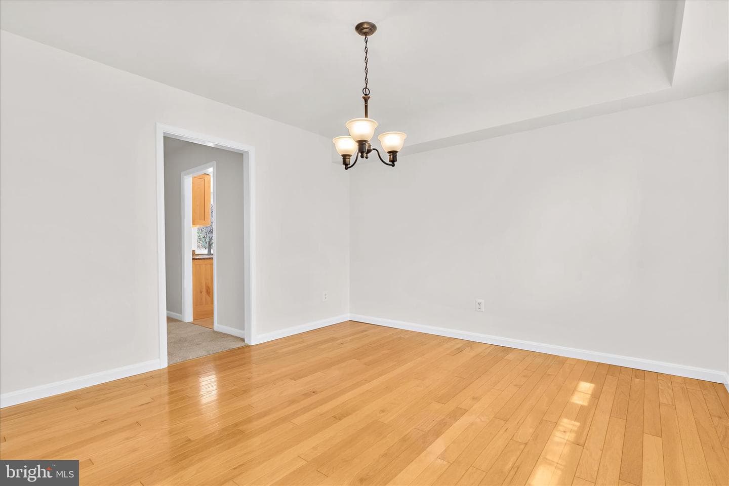15808 Plainview Lane photo 12
