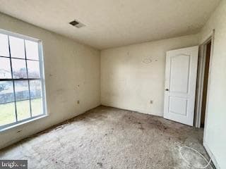 7506 Castle Rock Drive photo 10
