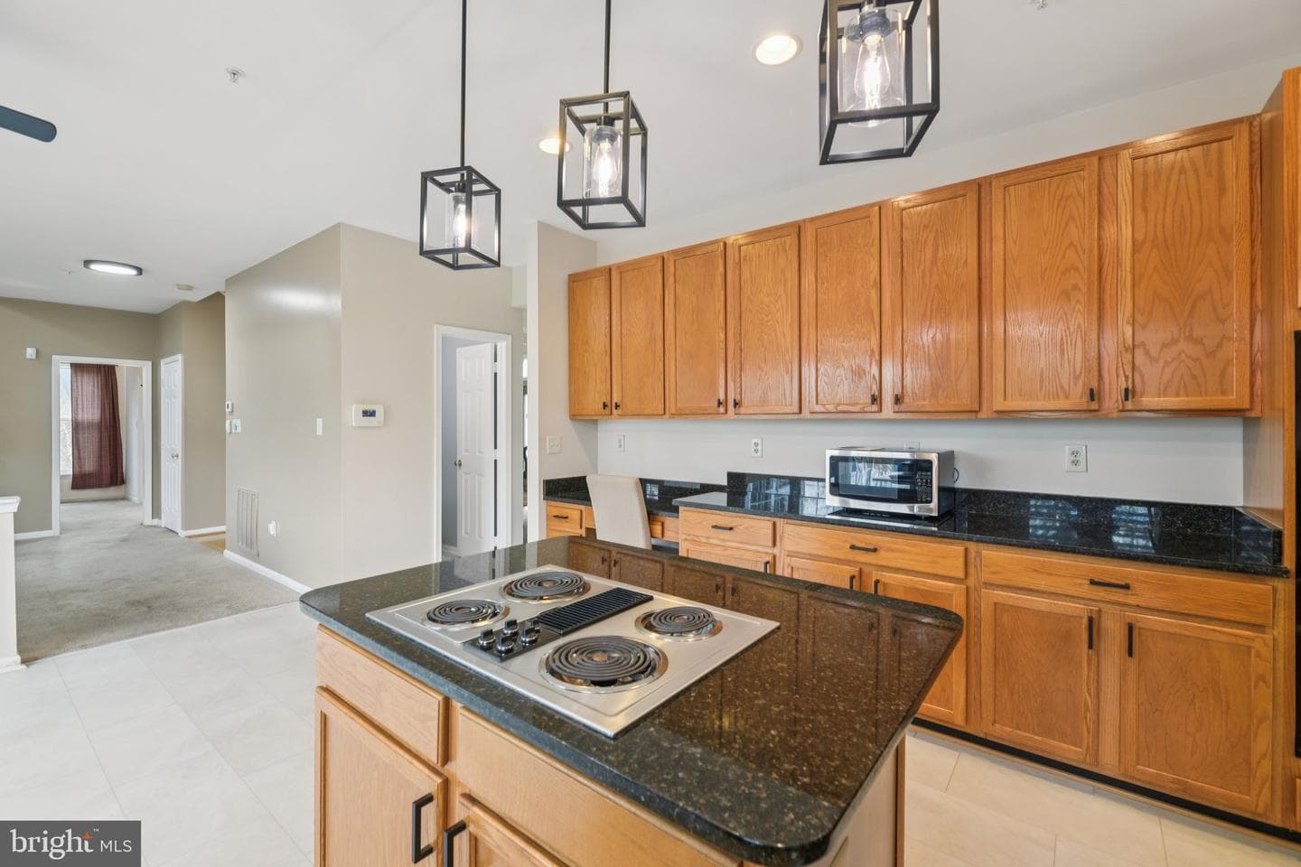 12912 Piscataway Landing Drive photo 19