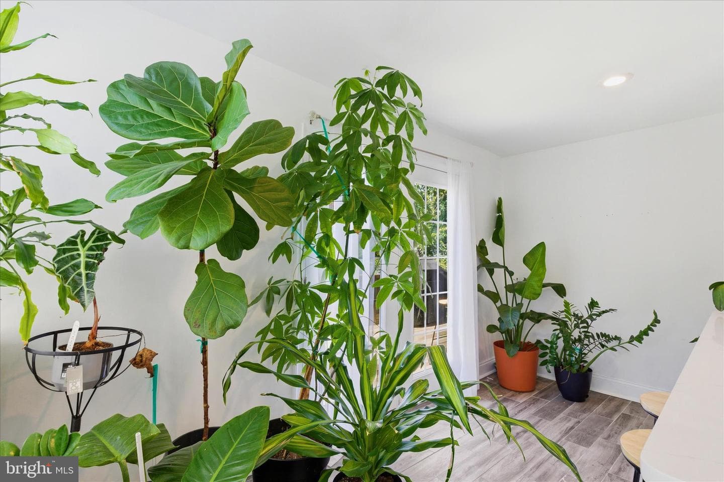 4318 Lawrence Street photo 15