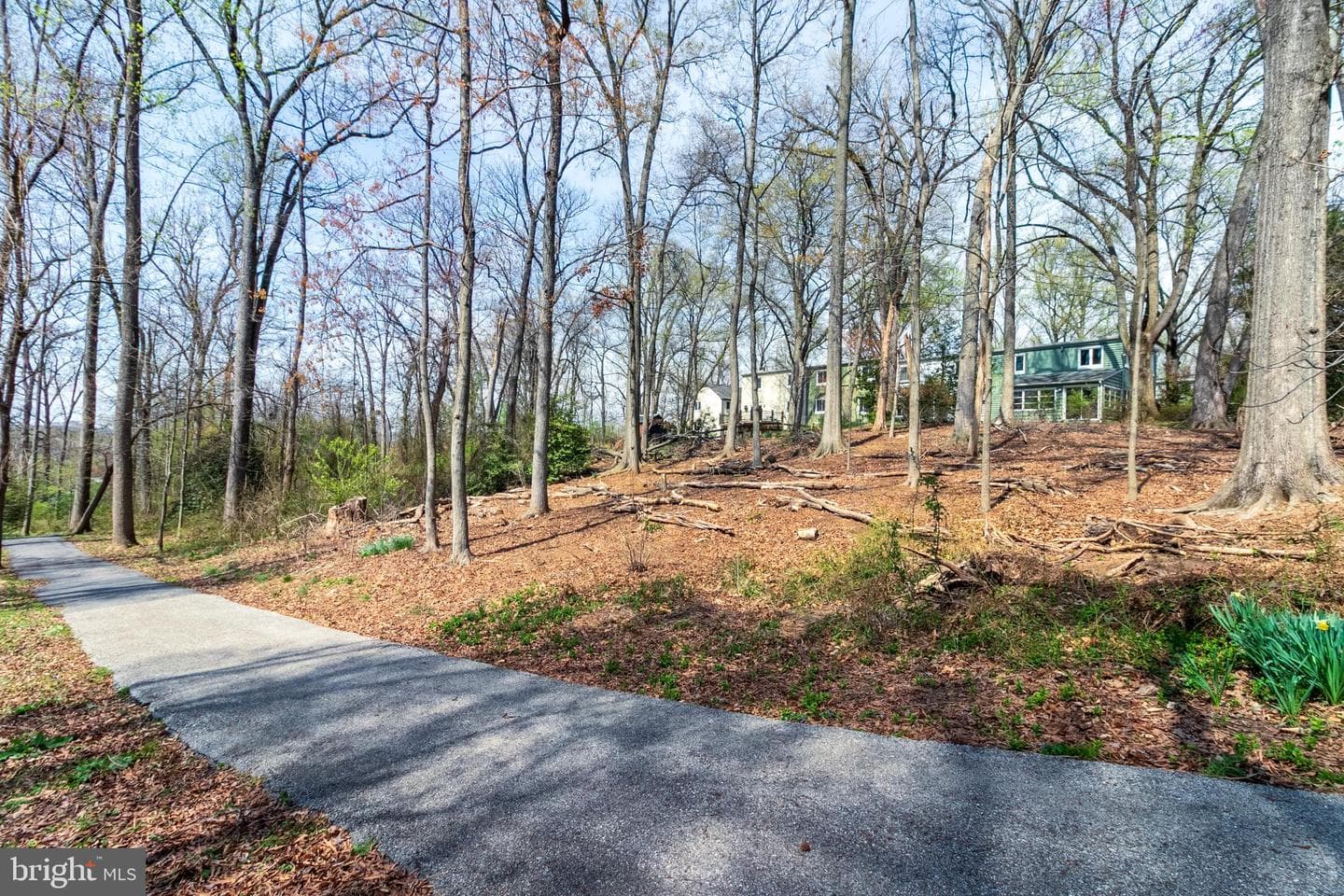 4 Ridge Road photo 31