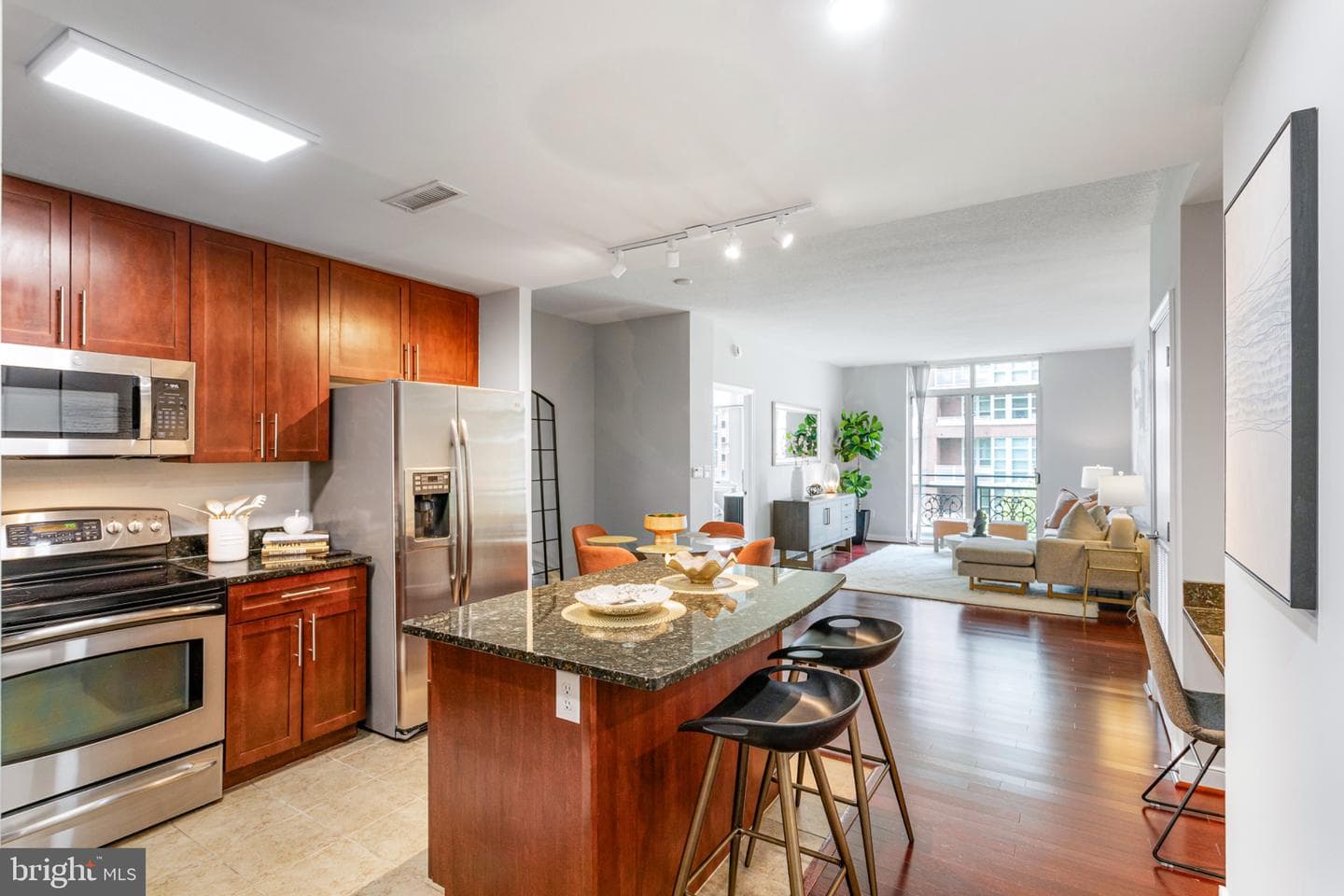 155 Potomac Passage #511 photo 11