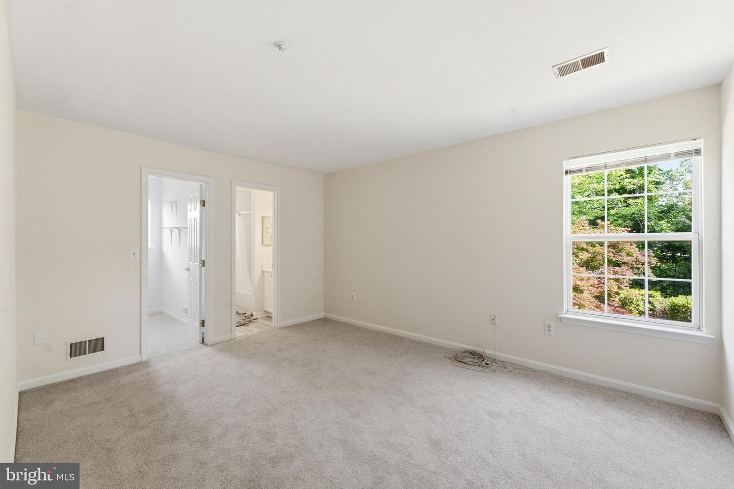 15300 Blue Willow Lane photo 53