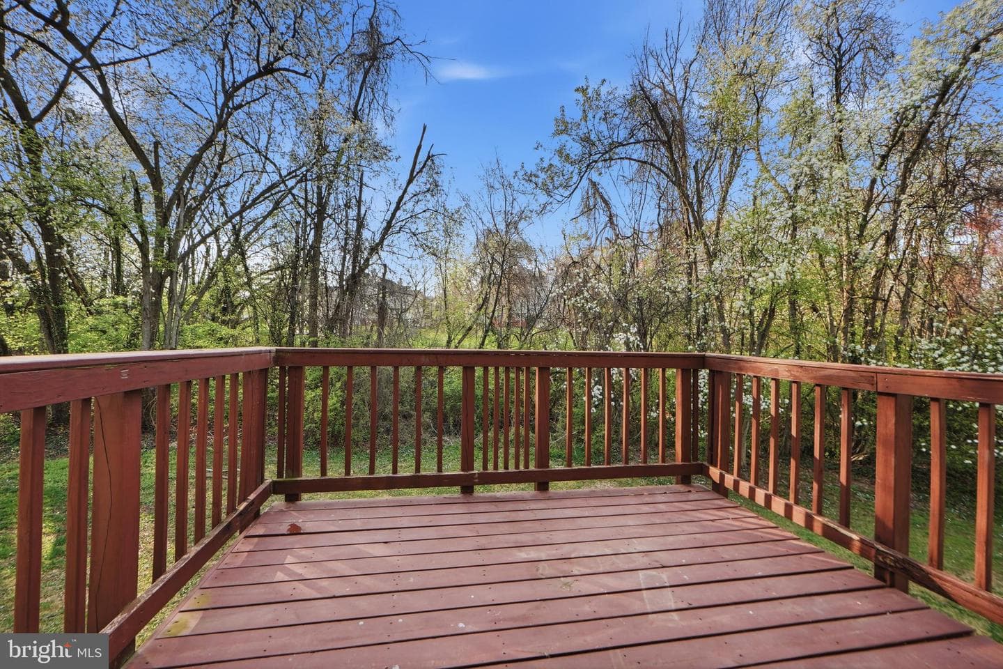 11306 Booth Bay Way photo 35