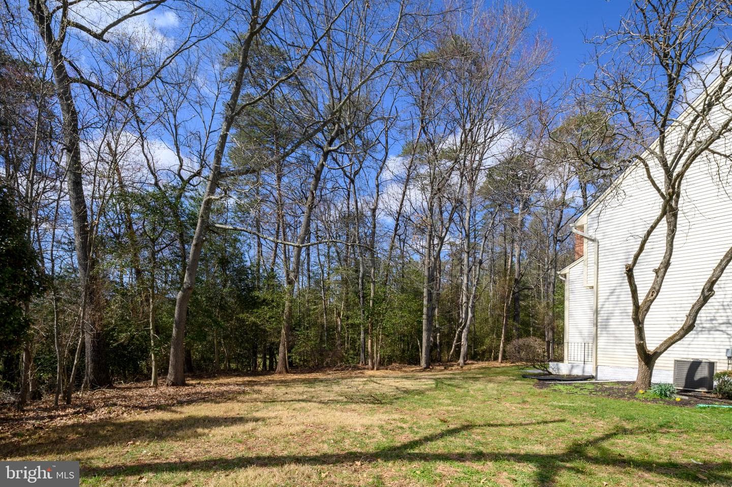 11308 Attingham Lane photo 48