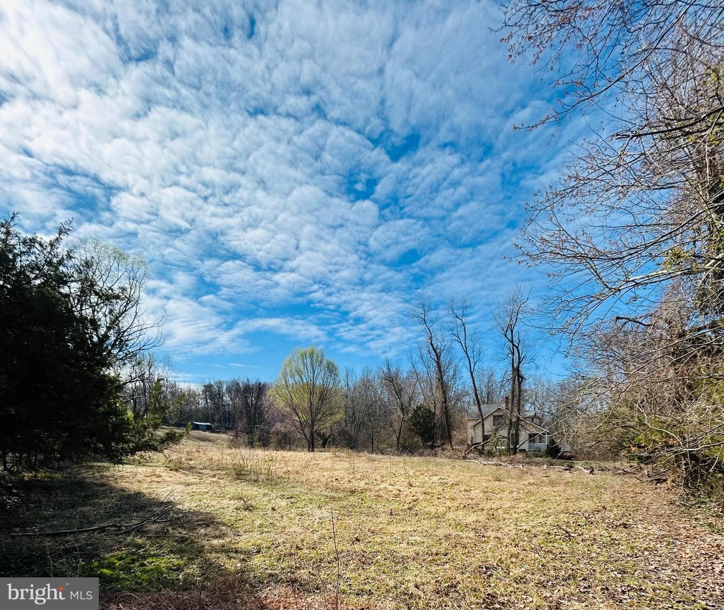1701 Ferguson Lane photo 5