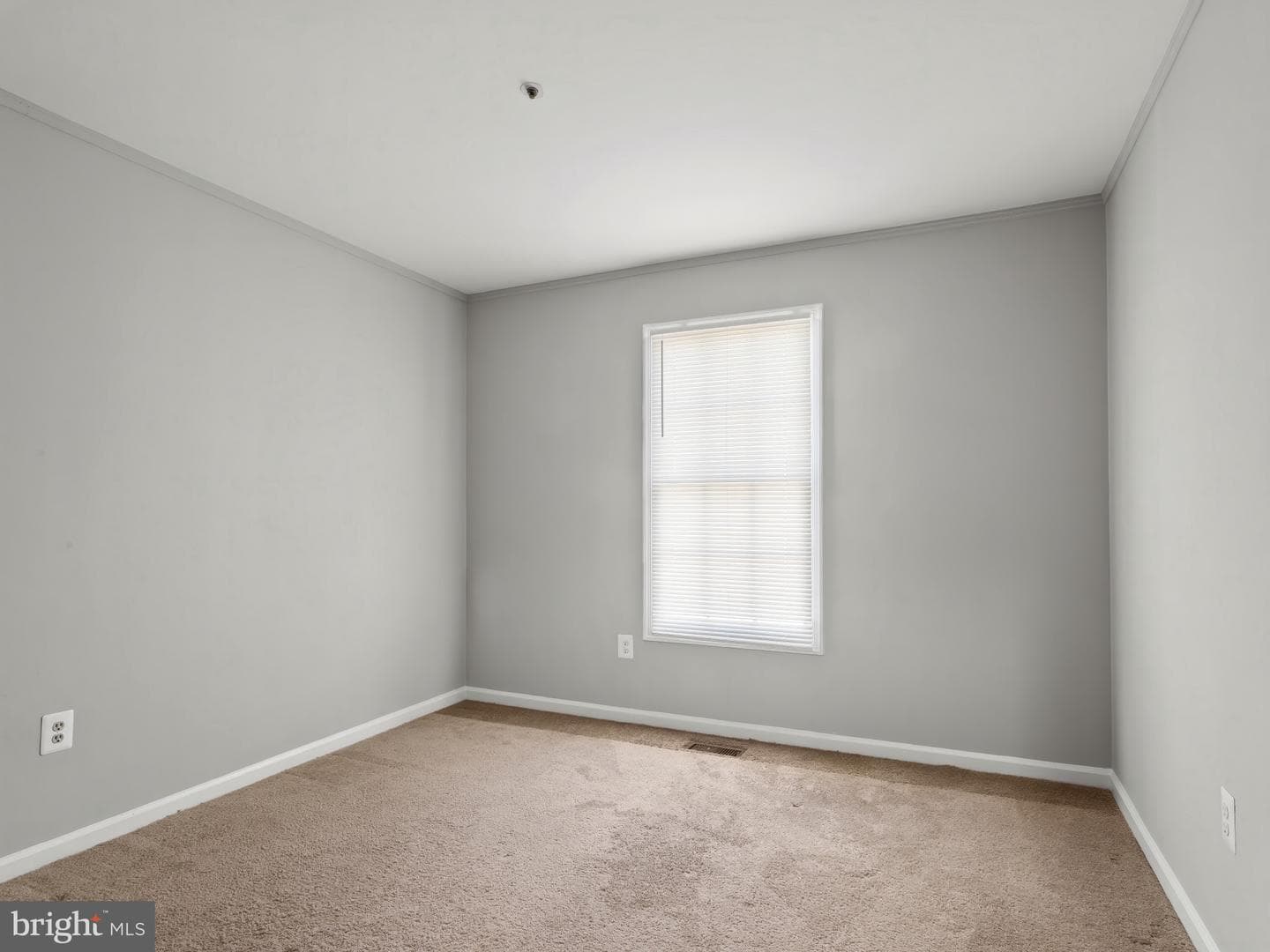 9423 Rosmarin Way photo 14