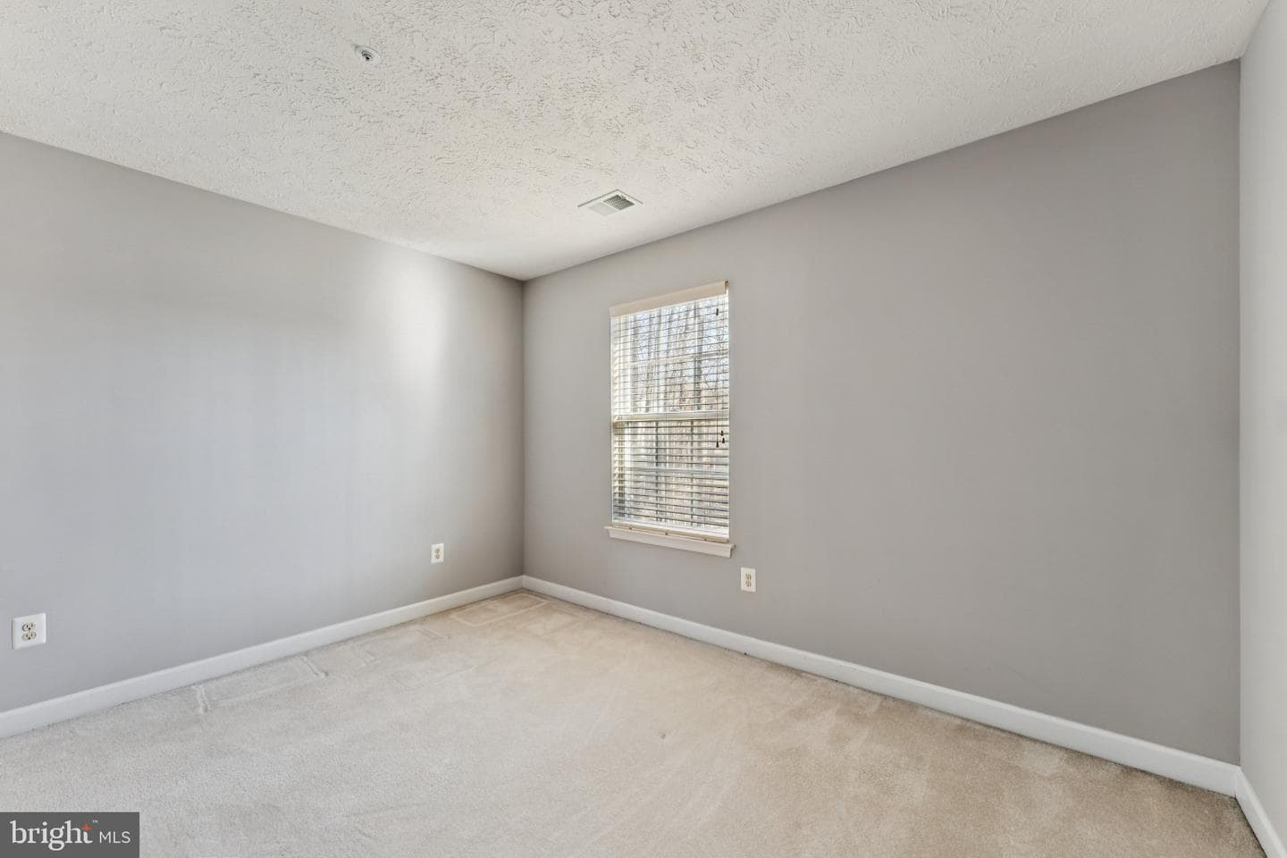 11005 Ibis Lane photo 37