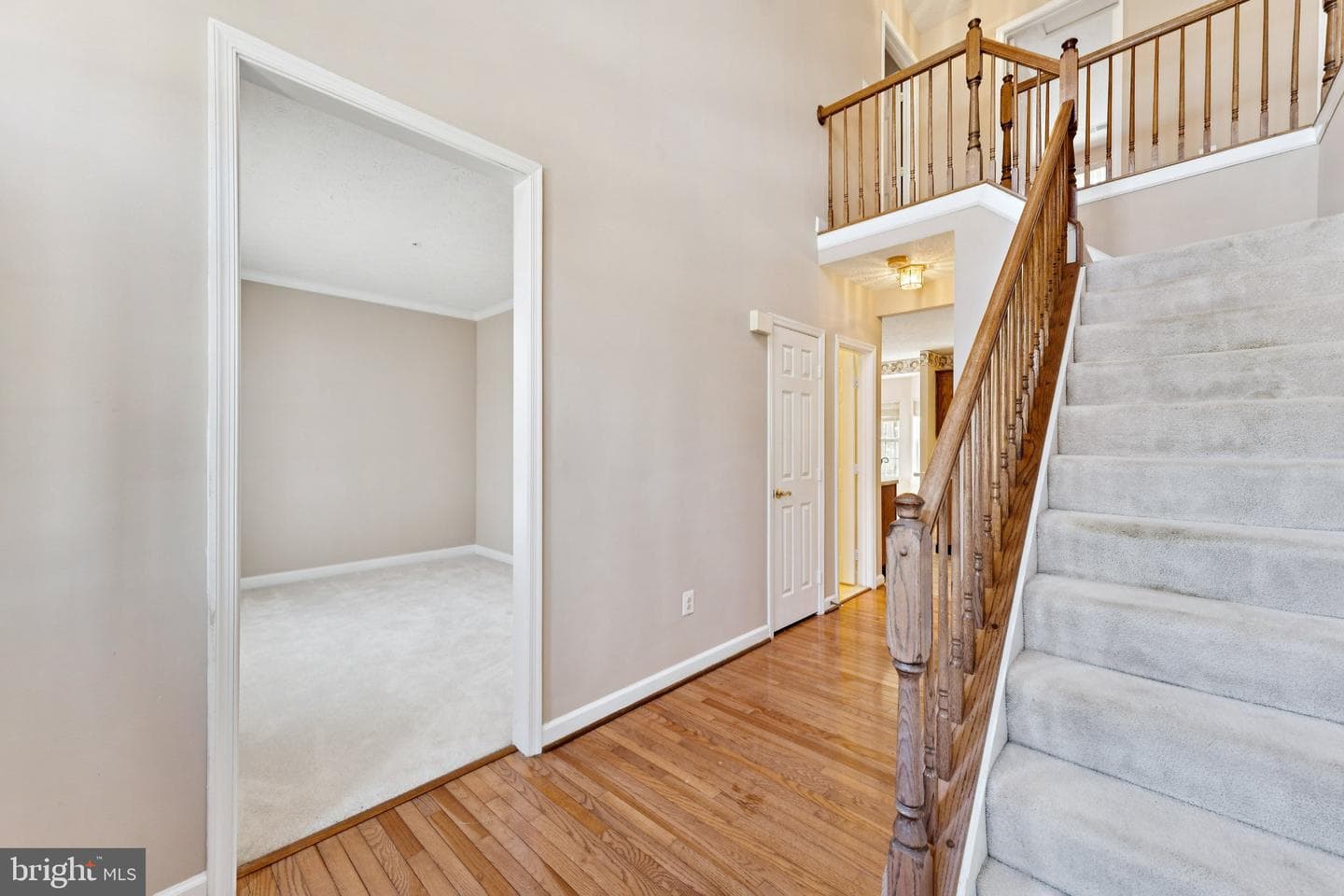 11005 Ibis Lane photo 4