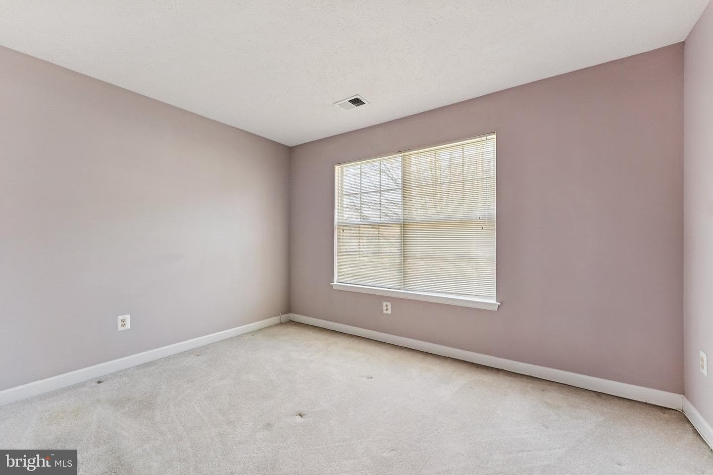 11005 Ibis Lane photo 40