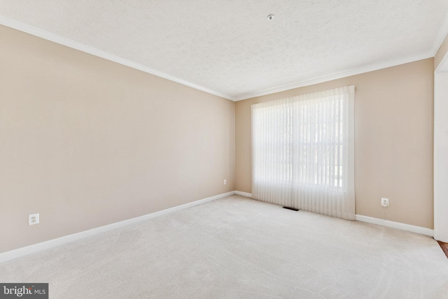11005 Ibis Lane photo 6