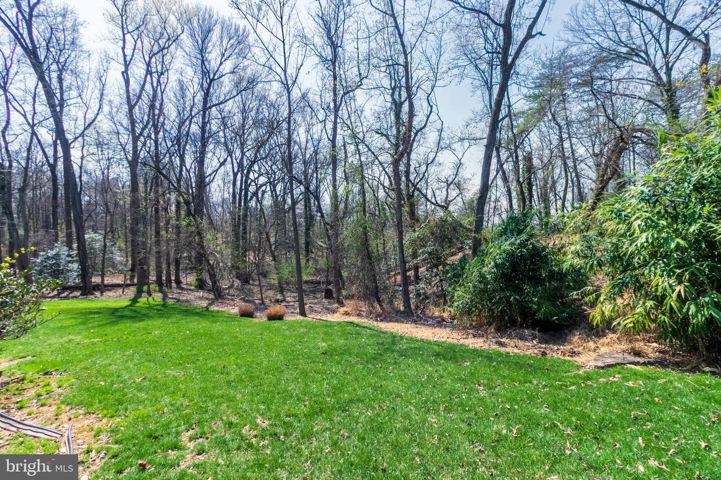 3300 Rosemary Lane photo 13