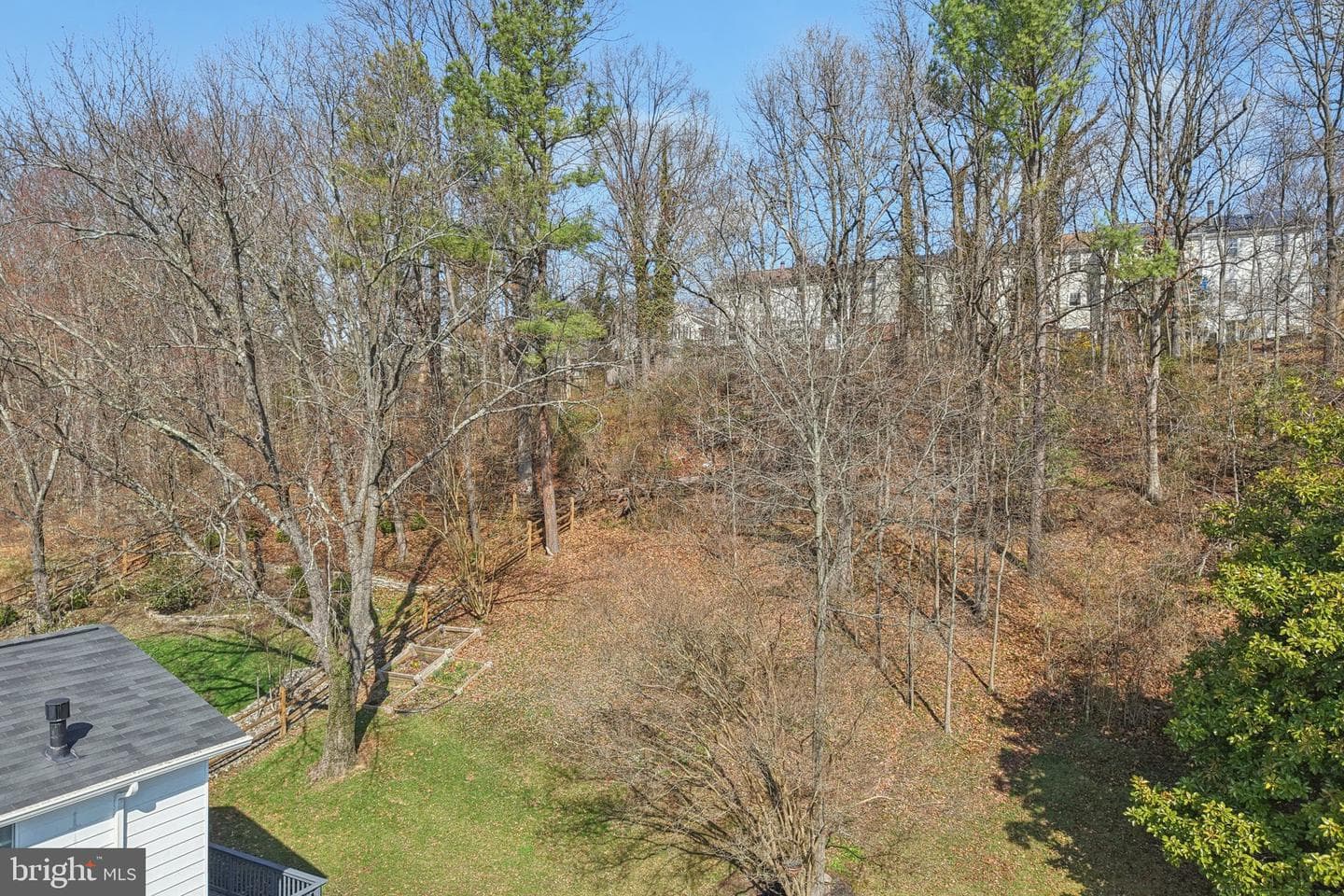8406 Snowden Loop Court photo 44