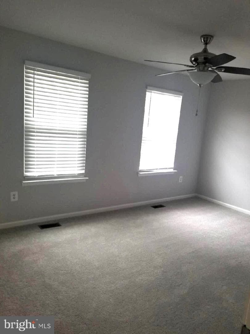 121 Firethorn Court #11-5 photo 19