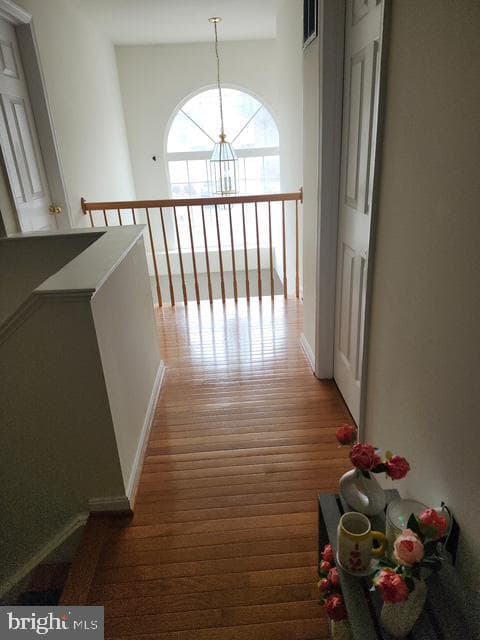 1610 Sacramento Street photo 11