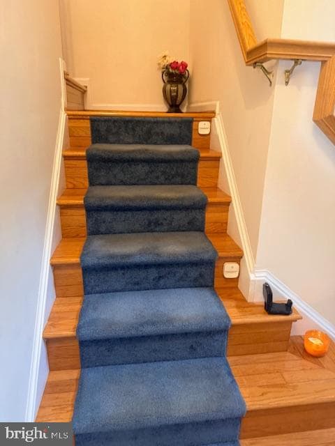 1610 Sacramento Street photo 26