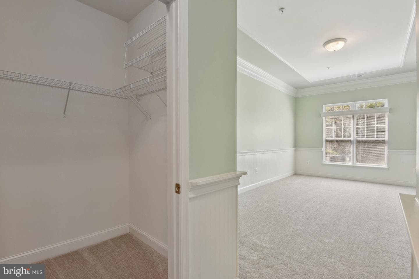 7201 Paperbark Terrace photo 9