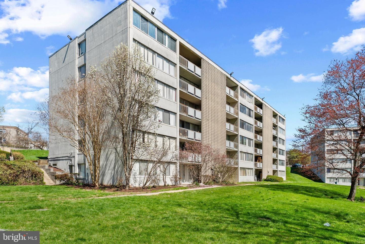 1824 Metzerott Road #204 photo 17