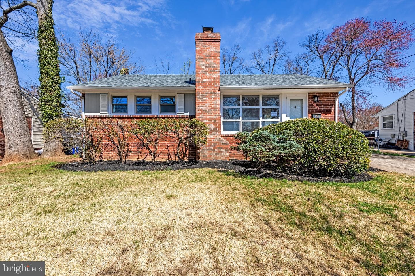 8124 Gavin Street photo 3