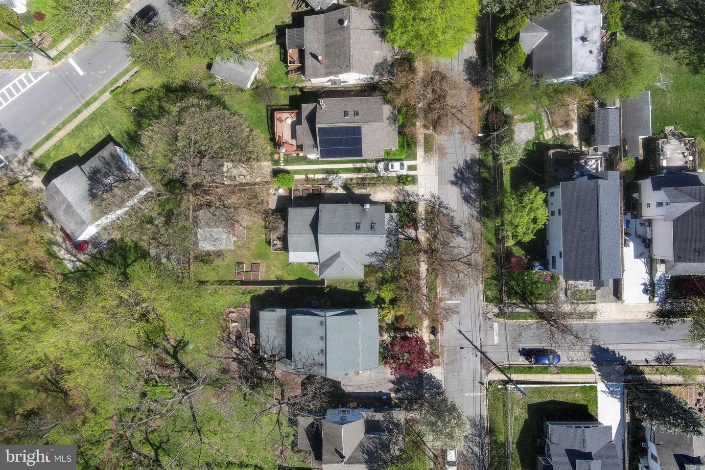3202 Taylor Street photo 57
