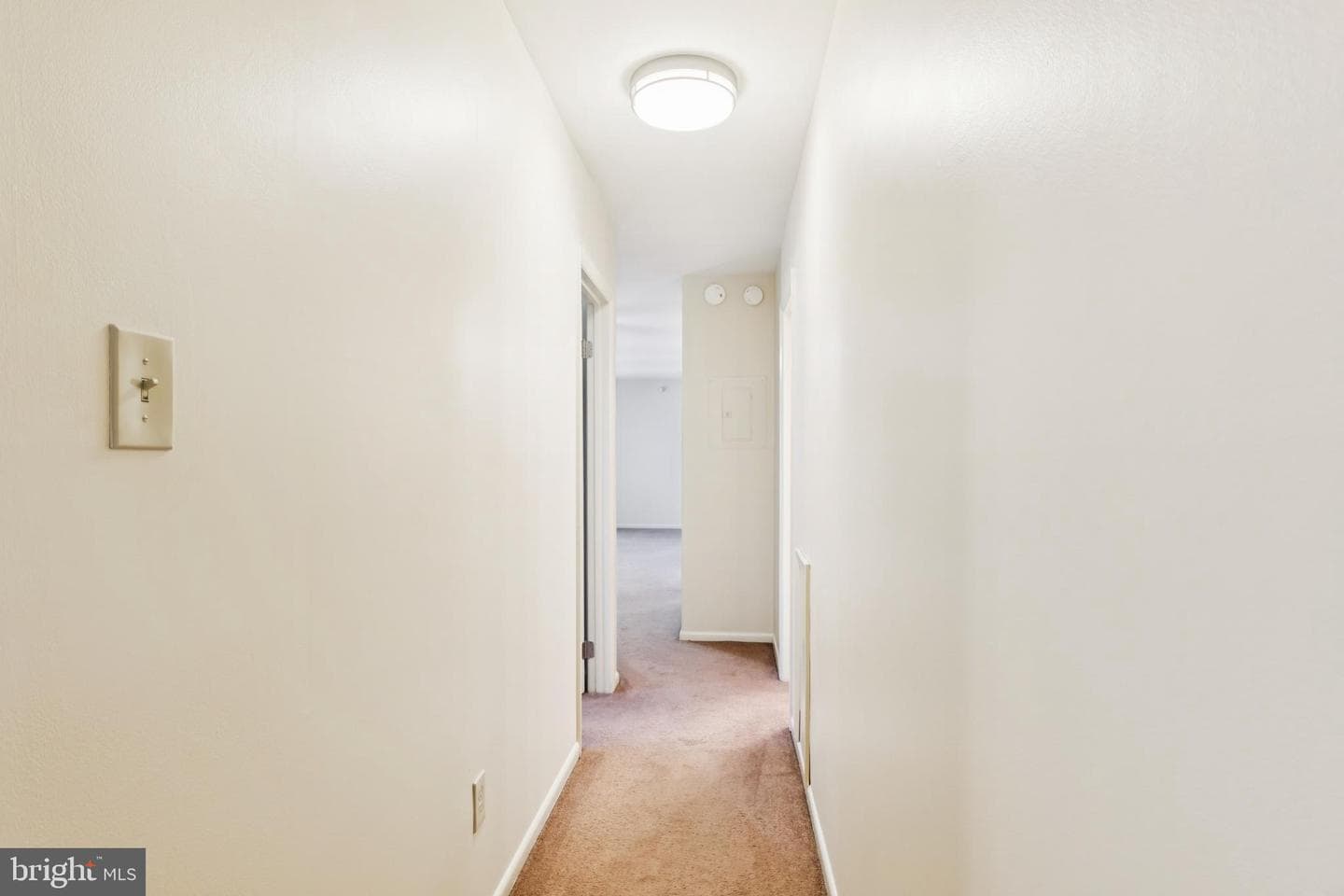 3136 Brinkley Road #204 photo 13