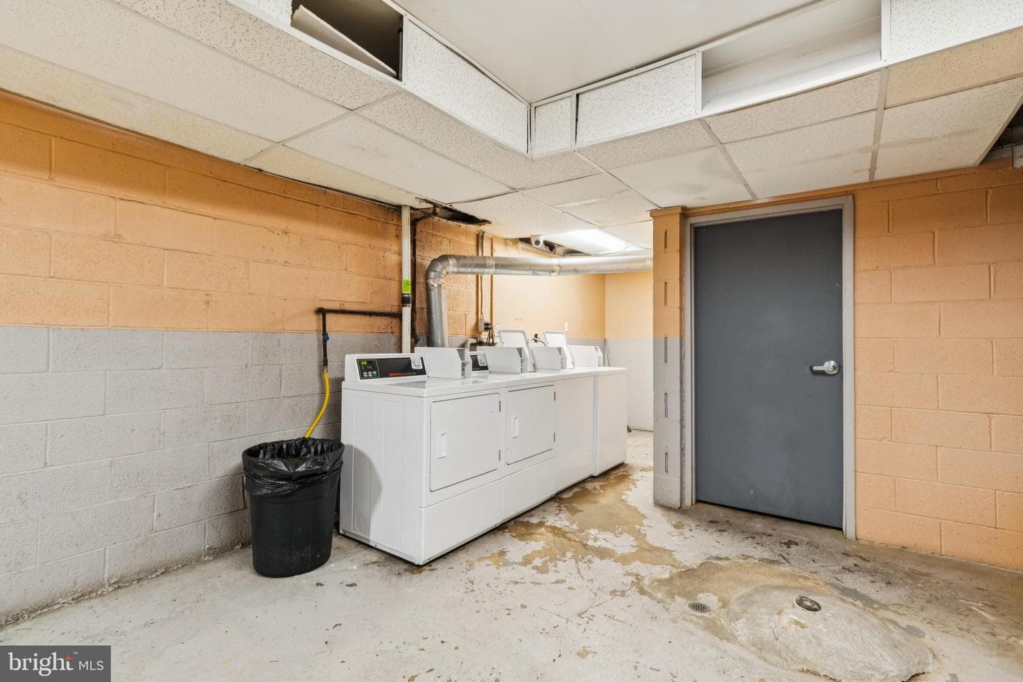 3136 Brinkley Road #204 photo 17