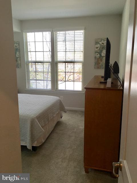 10062 Dorsey Lane #42 photo 19