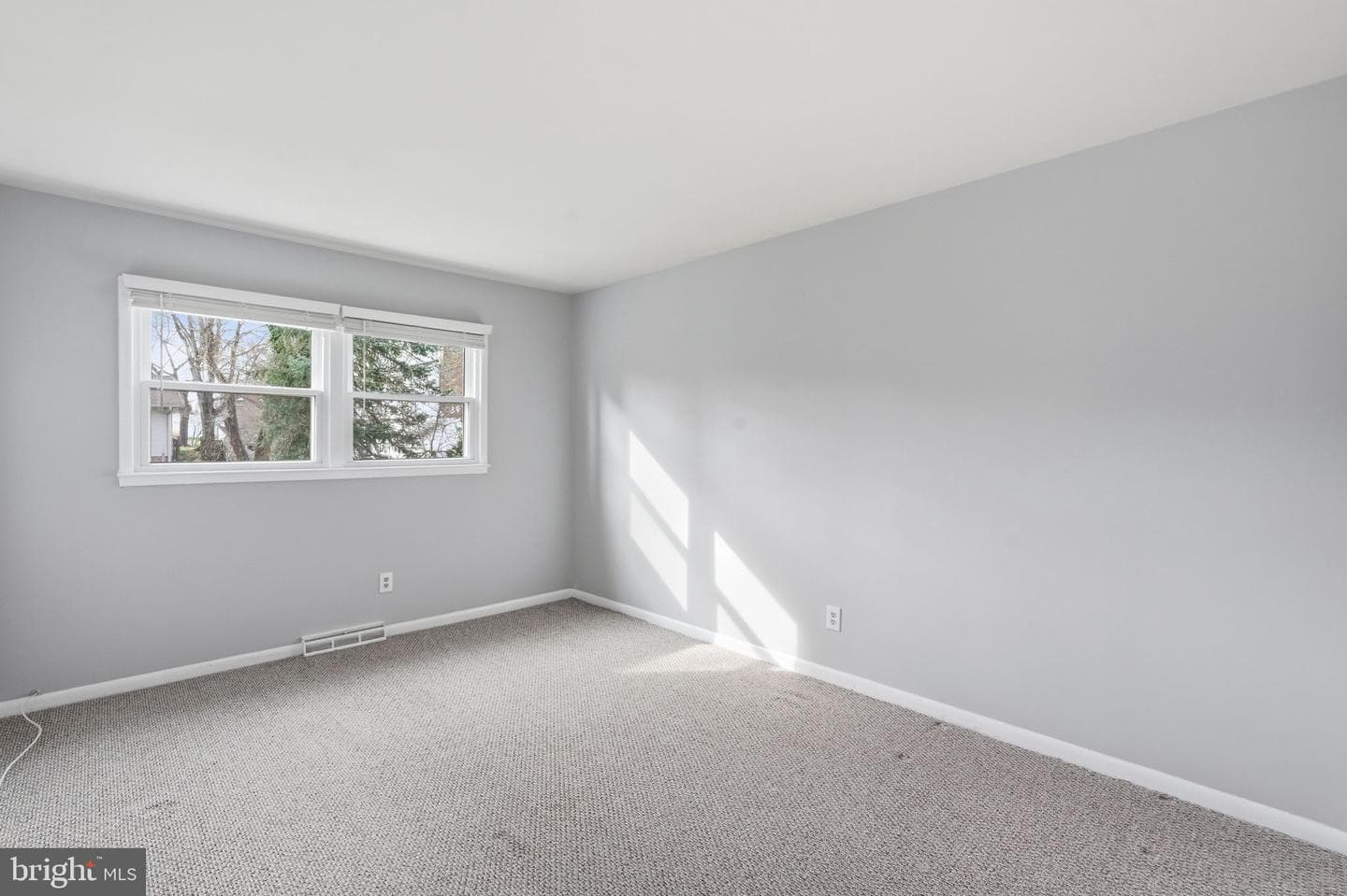 11003 Tyrone Drive photo 19