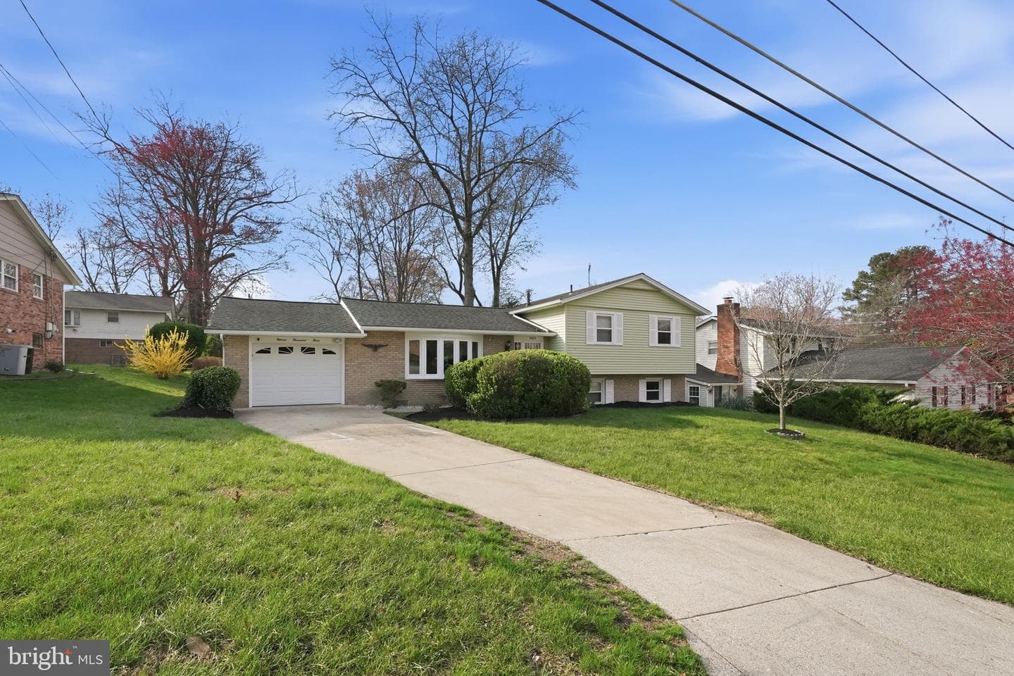 11003 Tyrone Drive photo 6