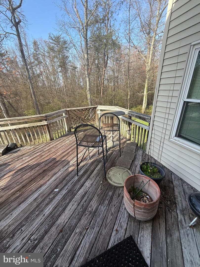 1105 Beatrice Court photo 37