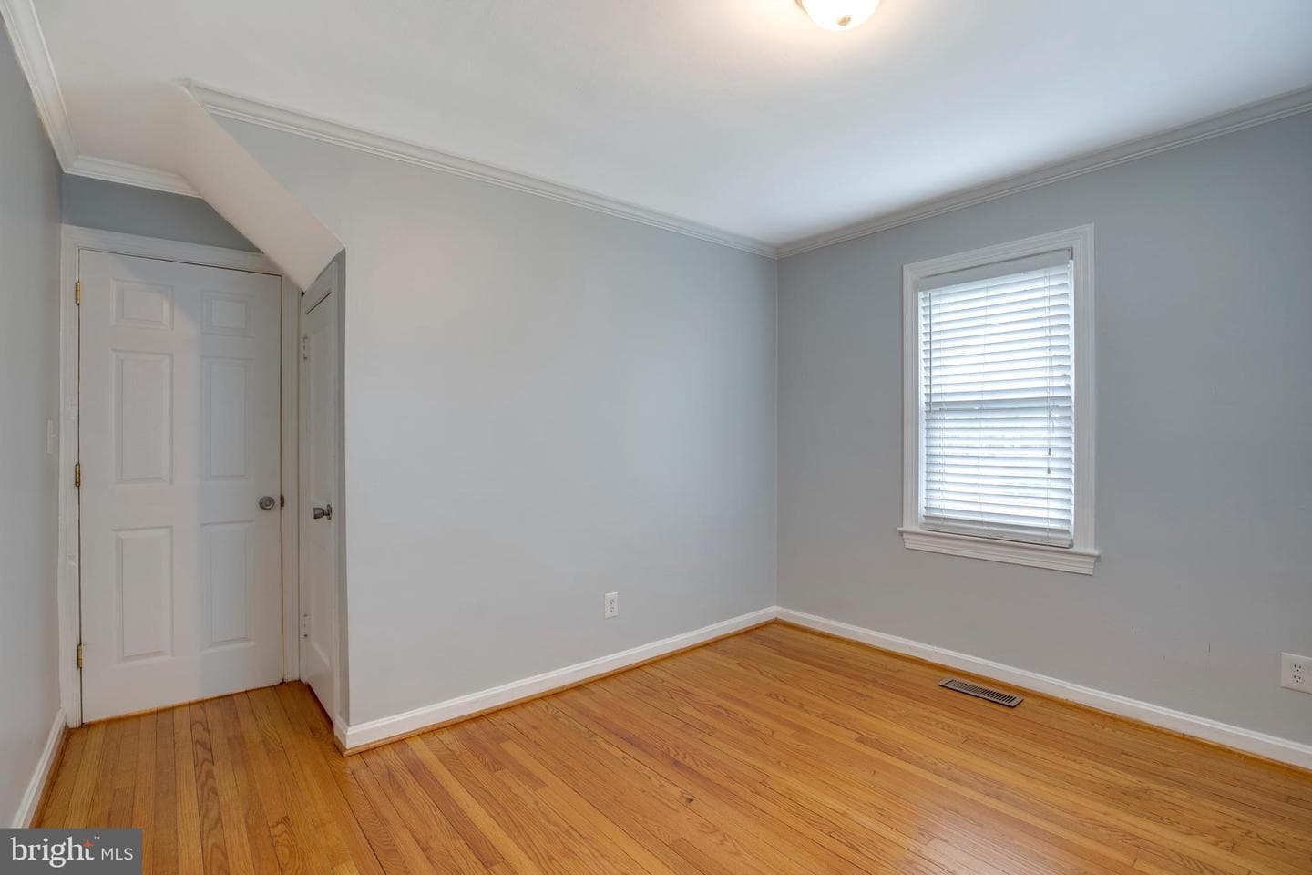 8104 Prince Georges Drive photo 14