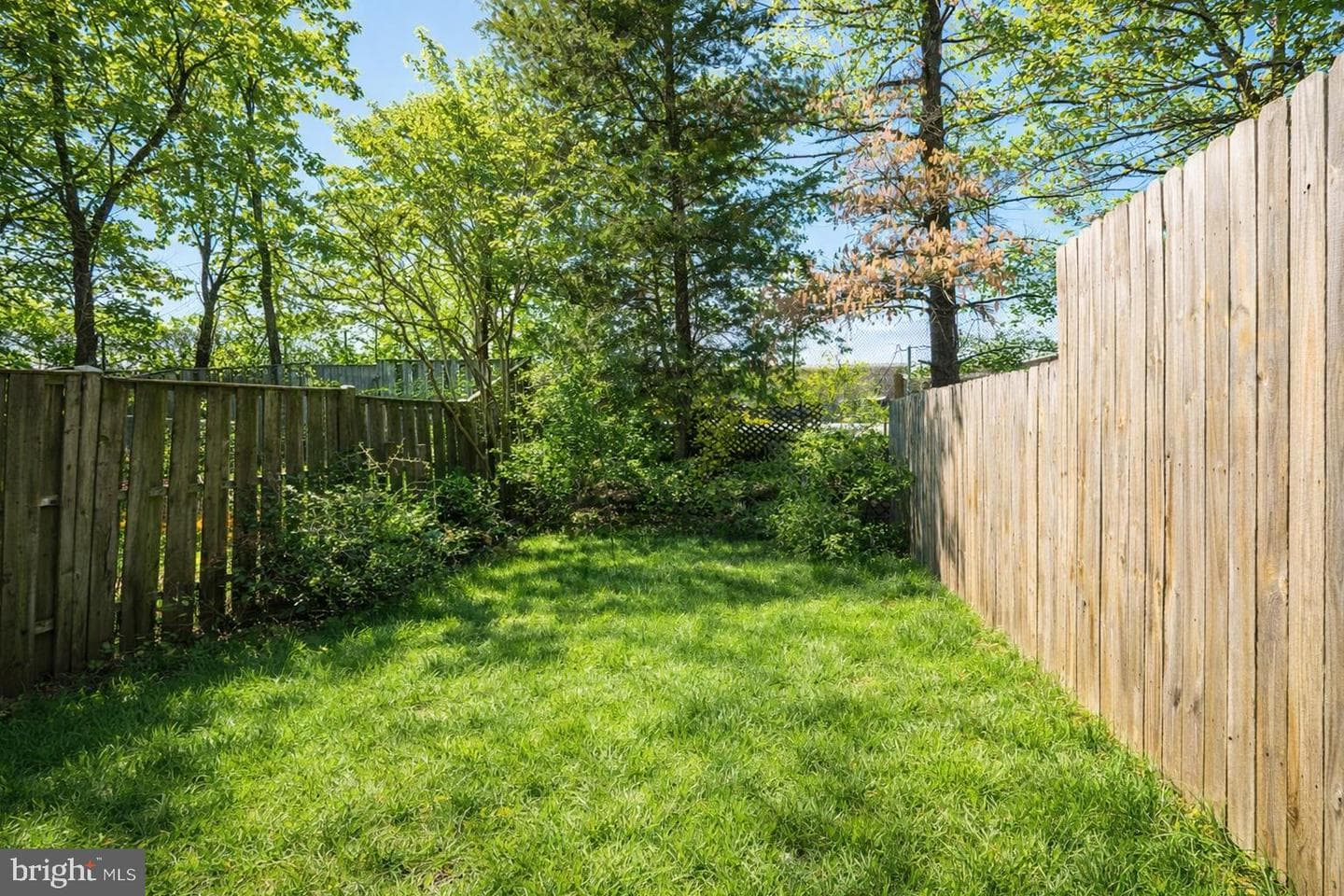 14806 Ashford Court photo 5