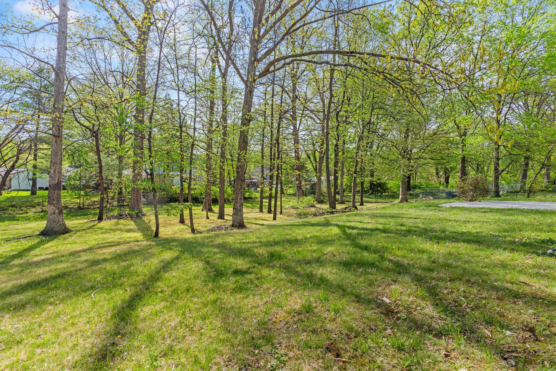 12605 Cedarbrook Lane photo 23