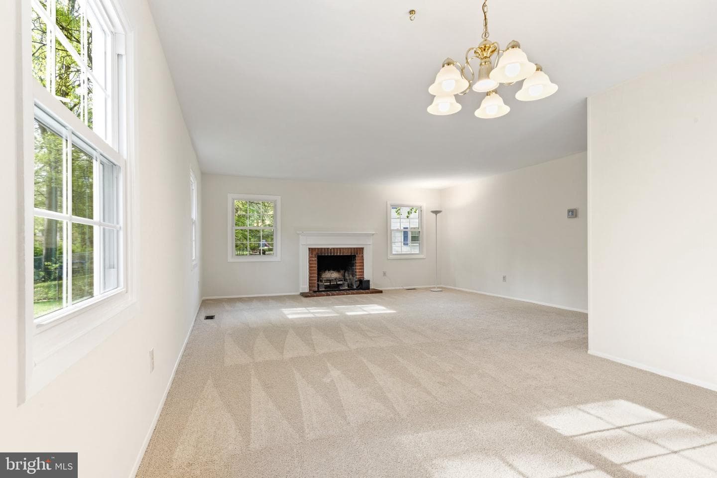 12605 Cedarbrook Lane photo 6