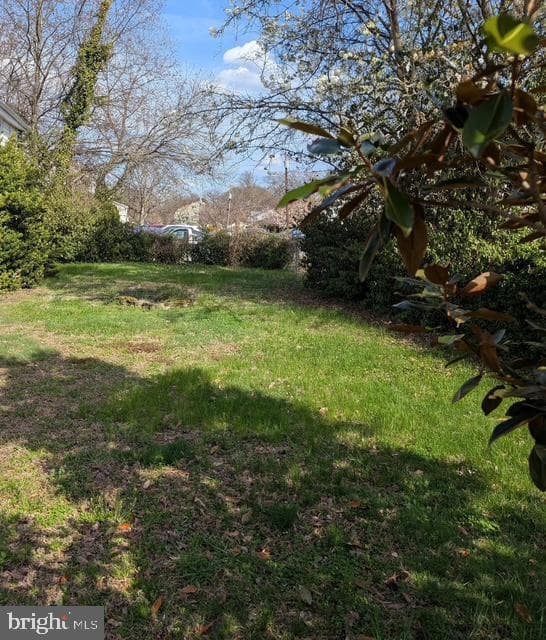 8611 Myrtle Avenue photo 3