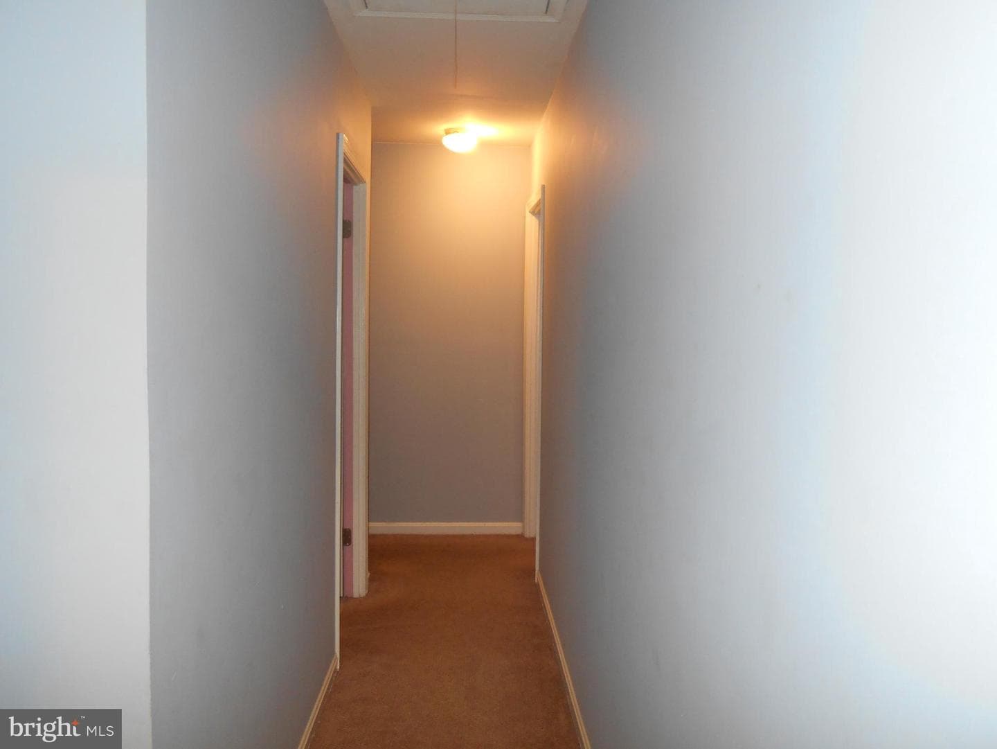 7012 Scotch Drive photo 22