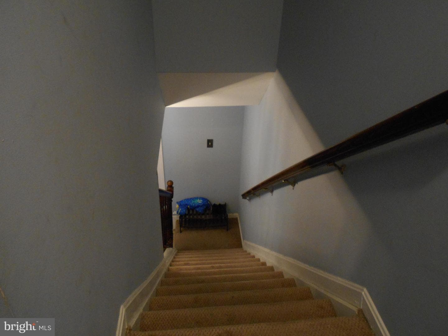 7012 Scotch Drive photo 23